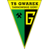TS Gwarek Tarnowskie Gory