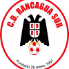 Rancagua Sur