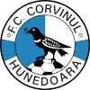 Corvinul Hunedoara