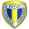 Pescarusul Sarichioi