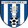 TJ Dvur Kralove nad Labem