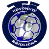 Bridlicna