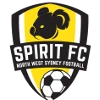 NWS Spirit