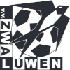 Zwaluwen Wierden