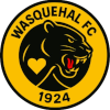 Ent. S. Wasquehal