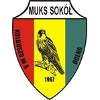 Sokol Kolbuszowa Dolna (Women)