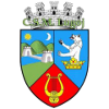 CSM Lugoj