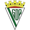 Grupo Desportivo Alcochetense