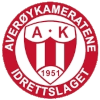 Averoykameratene