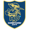 Wiang Sa Surat Thani City