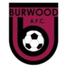 Burwood AFC