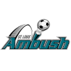 Saint-Louis Ambush