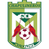 Chapulineros de Oaxaca