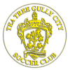 Tea Tree Gully City