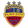 Flint City Bucks