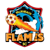 Palm Beach Flames