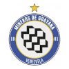 Mineros de Guayana