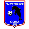 AS Dauphins Noirs