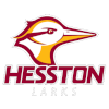 Hesston Larks (Women)