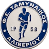 Taminiakos Aliveriou