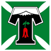 Deportes Temuco