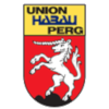DSG Union Perg