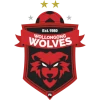 Wollongong Wolves