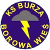 Burza Borowa Wies