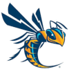 Cedarville Yellow Jackets