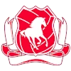 Twente (Amateur)