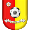 TJ Malinovo