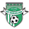 Dukagjini
