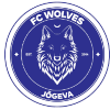Tallinna Wolves