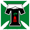 Deportes Temuco (Women)