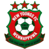 New Young's