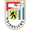 F91 Dudelange