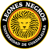 Universidad de Guadalajara II