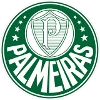 Sociedade Esportiva Palmeiras U20