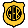 GE Bage