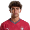 Joao Felix Sequeira