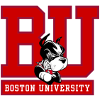 Boston Terriers