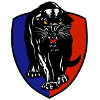 South Adelaide Panthers