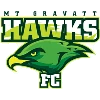 Mount Gravatt Hawks