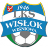 Wislok Wisniowa