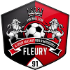 Fleury 91