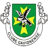 Os Gavionenses