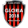 CS Gloria Bistrita