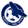 Ironi Nesher