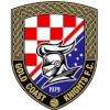 Gold Coast Knights