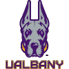 Albany Great Danes